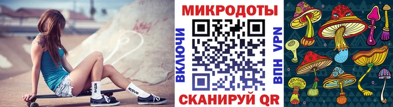 где можно купить наркотик  Медвежьегорск  Псилоцибиновые грибы Magic Shrooms 